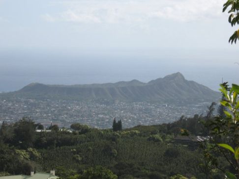 View of Diamondhead