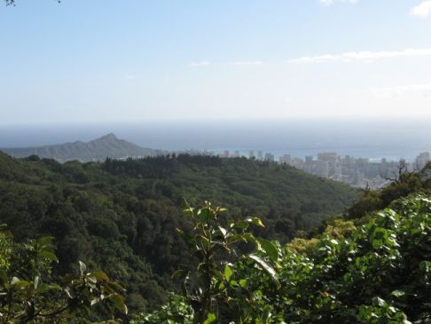 Diamondhead view