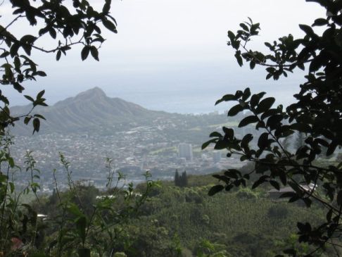 View of Diamondhead