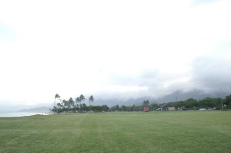 Large lawn
