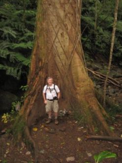 Henry and tree