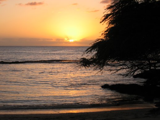 Luau sunset