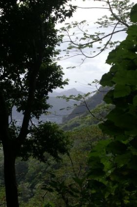 Manoa Valley