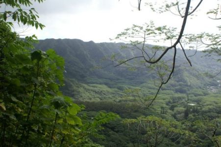 Manoa Valley