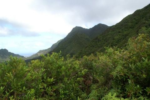 Manoa Valley