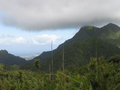 Manoa Valley