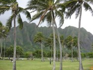 Diamondhead