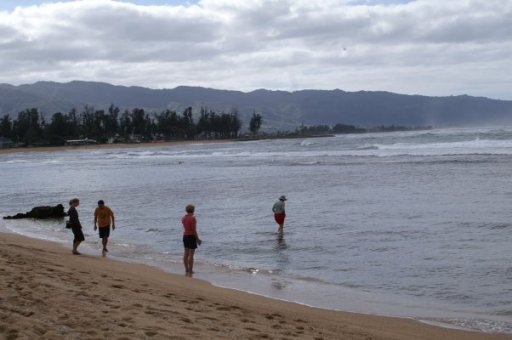 Beachfront scenery
