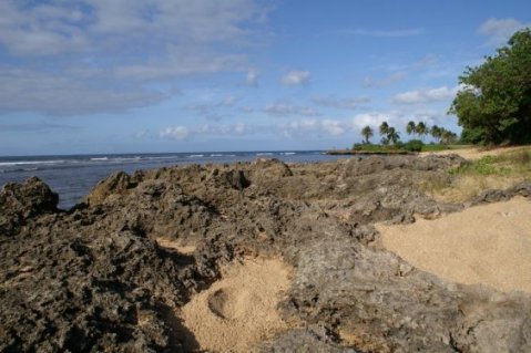 Beach and rocks