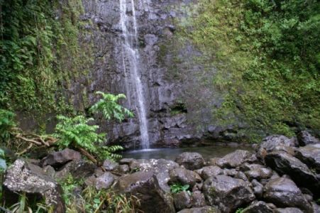 Manoa Valley waterfall