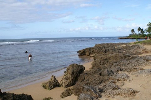 Rocks and local