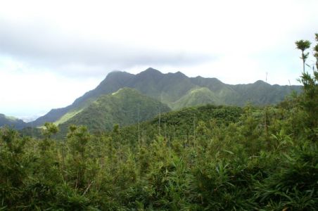 Manoa Valley