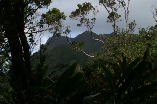 Manoa Valley