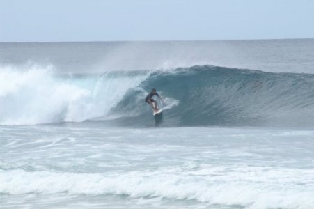North Shore surfer