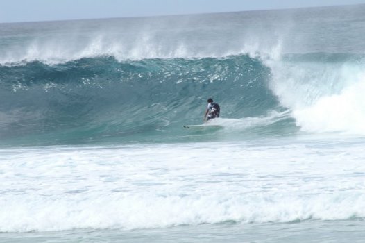 North Shore surfer