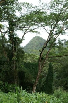 Manoa Valley