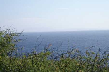 Pacific view