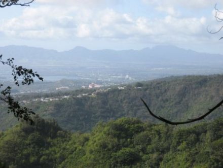 View of Honolulu
