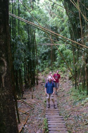 Family on the trail