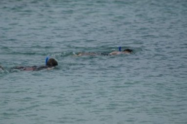 Snorkeling