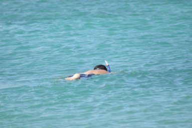 Hal snorkeling