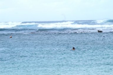 Hal at Turtle Bay