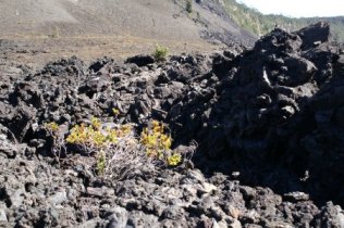 Kilauea Iki