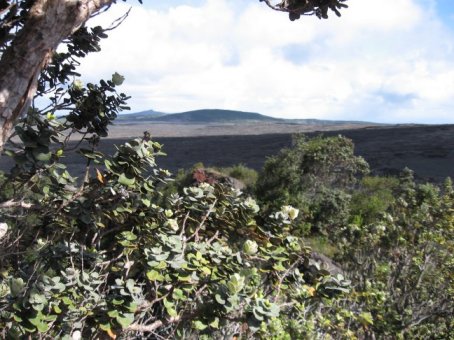 Mauna Ulu