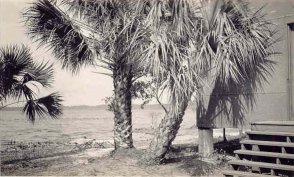 Beach scene