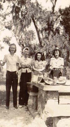 Picnic scene