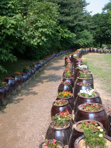pots near the temple