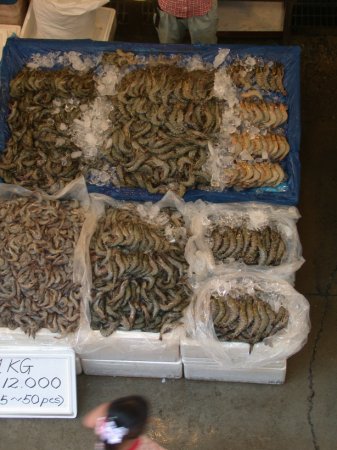shrimp at the market