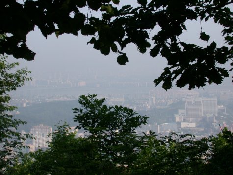 view from Mt. Umyeonsan