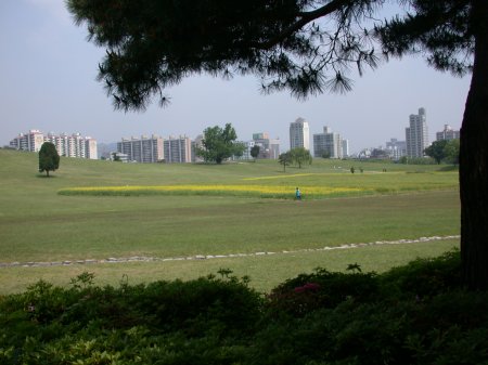 view of the city
