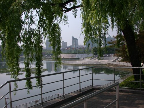 Park lake