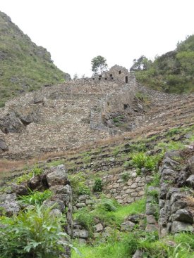 Choquesuysuy