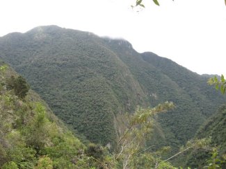 View from the Trail