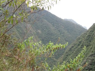 View from the Trail