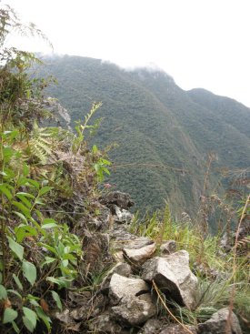View from the Trail