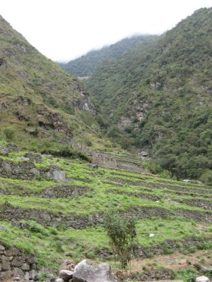 Choquesuysuy