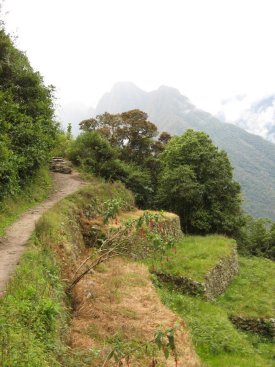 Trail from Winaywayna