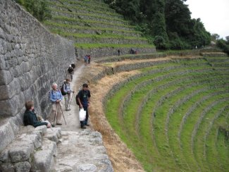 Winaywayna terraces