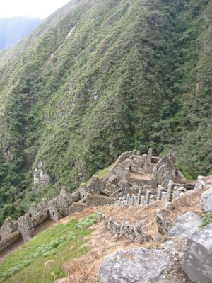 Winaywayna