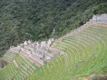 Winaywayna