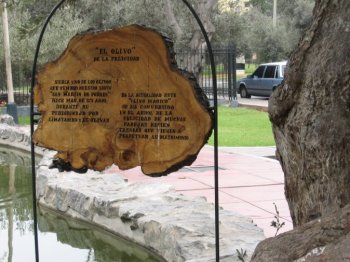 Happy olive tree sign