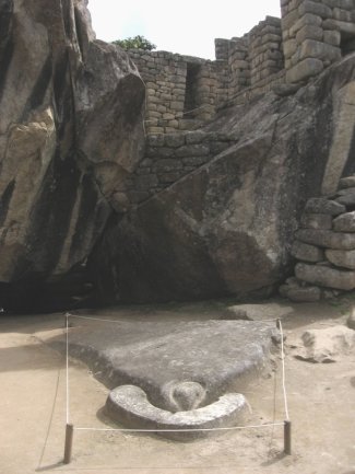 Condor carving