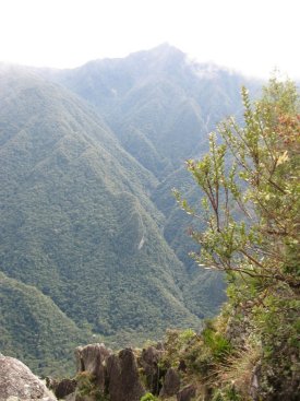 View from Waynapicchu