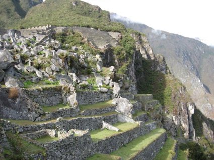 Terraces