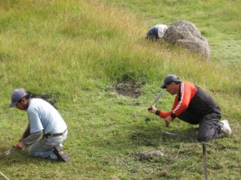 Yard work at Machu Picchu