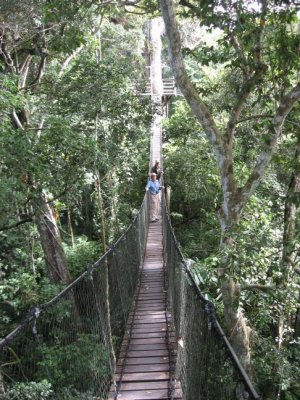 Canopy walkway
